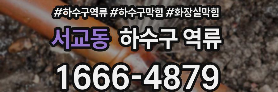 서교동 하수구 역류