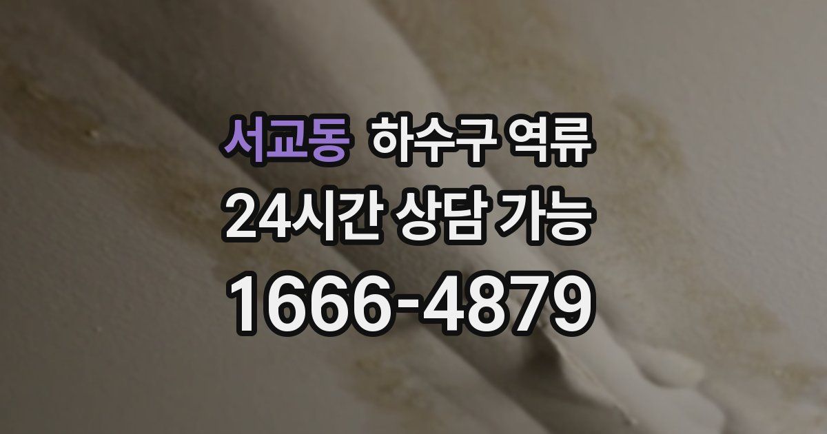 서교동 하수구 역류