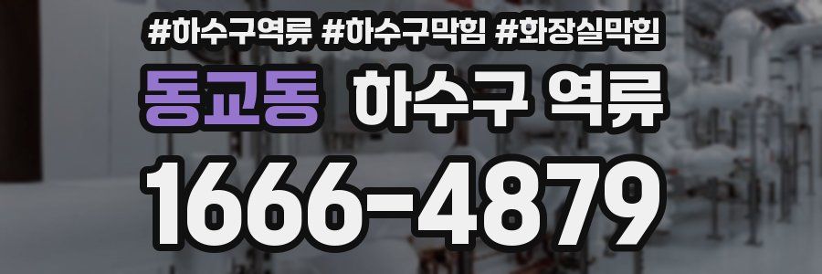 동교동 하수구 역류