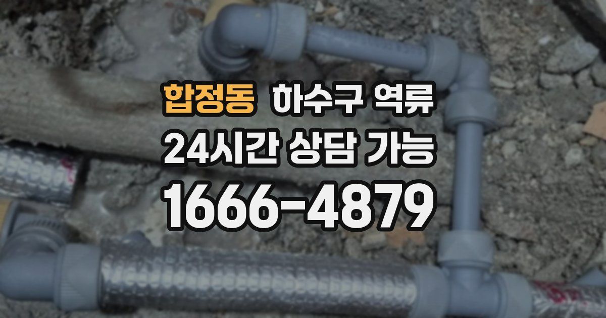 합정동 하수구 역류