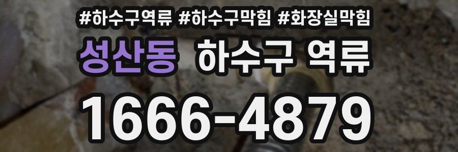 성산동 하수구 역류