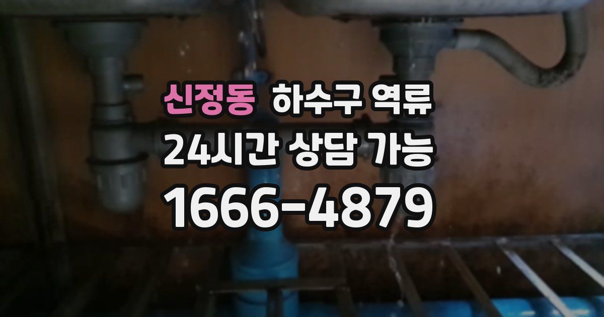 신정동 하수구 역류