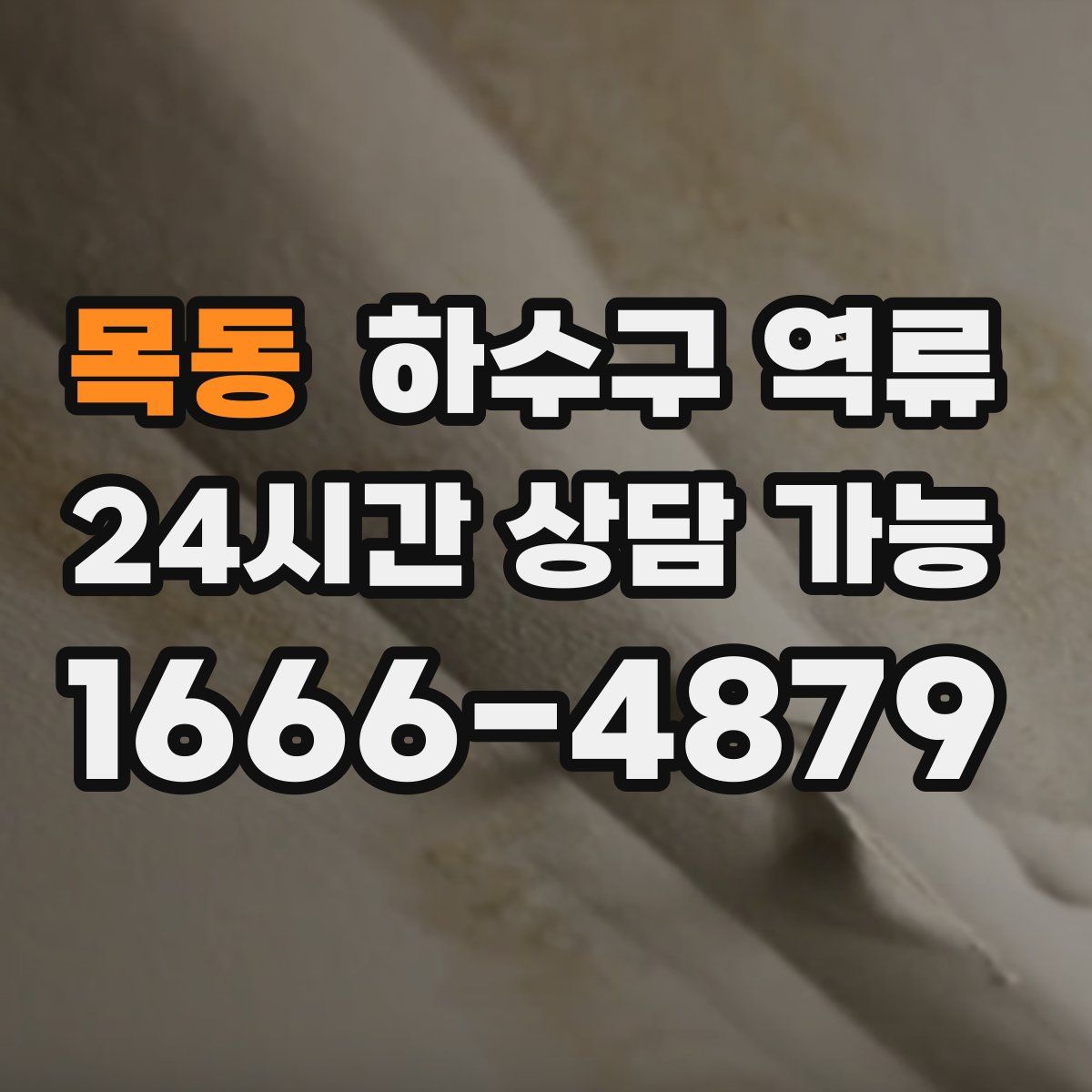 목동 하수구 역류