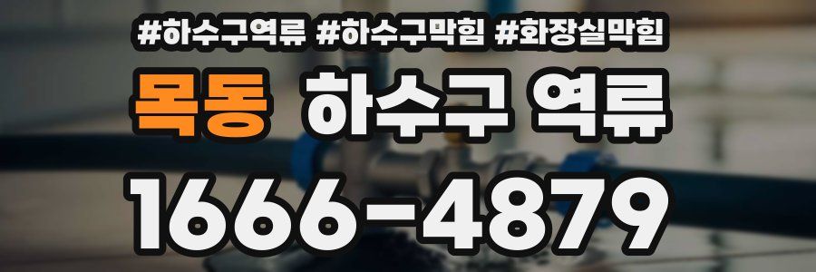 목동 하수구 역류