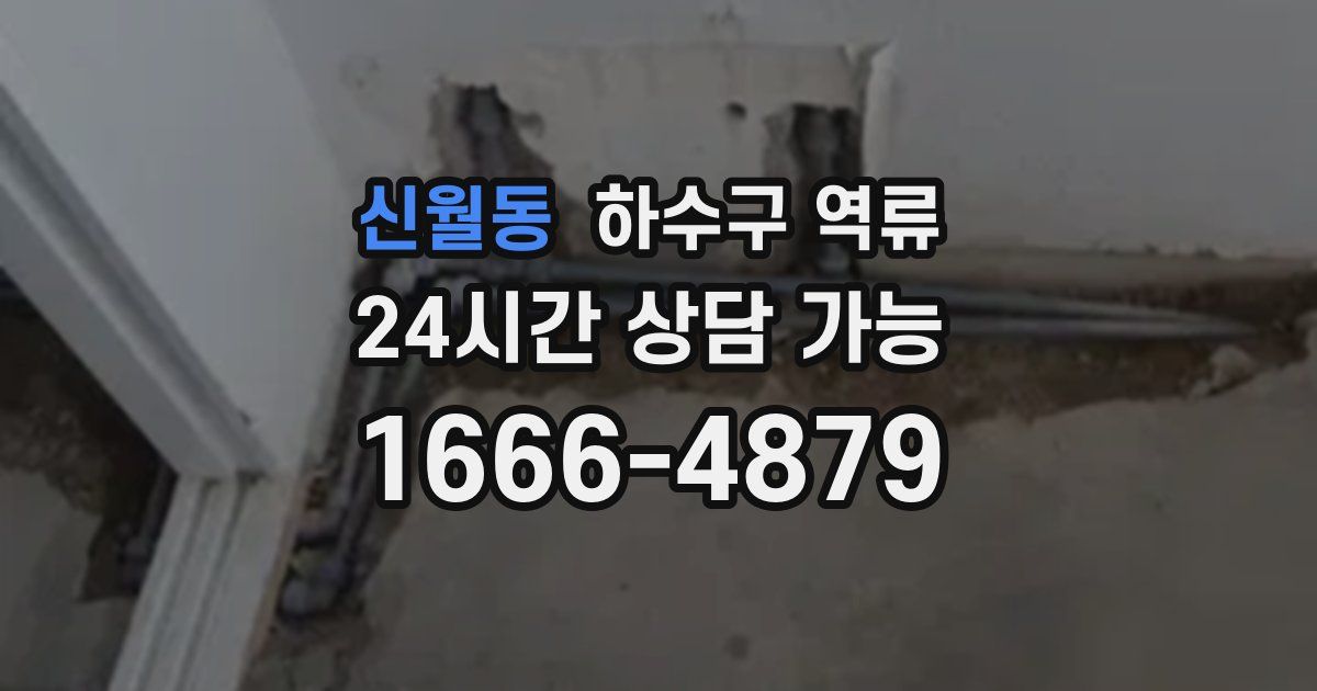 신월동 하수구 역류