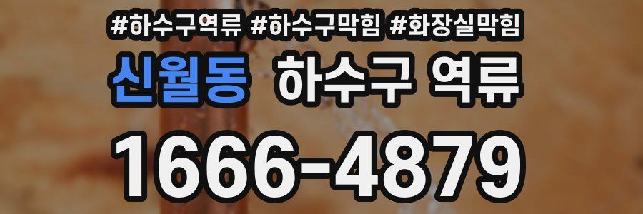 신월동 하수구 역류