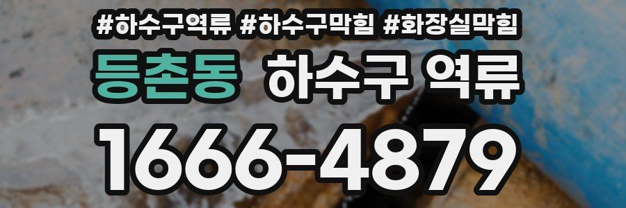 등촌동 하수구 역류