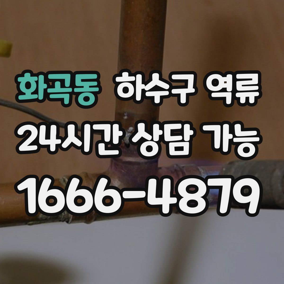 화곡동 하수구 역류