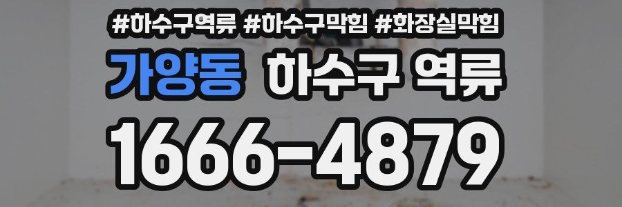 가양동 하수구 역류