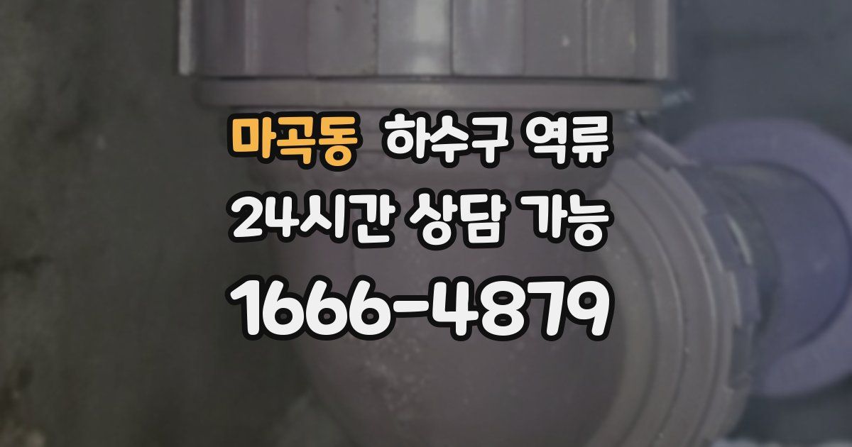 마곡동 하수구 역류