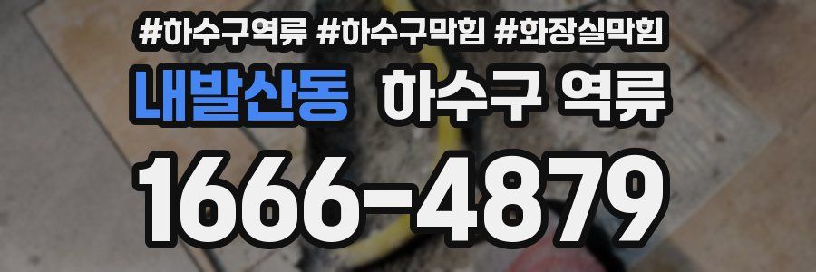 내발산동 하수구 역류