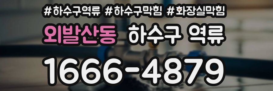 외발산동 하수구 역류