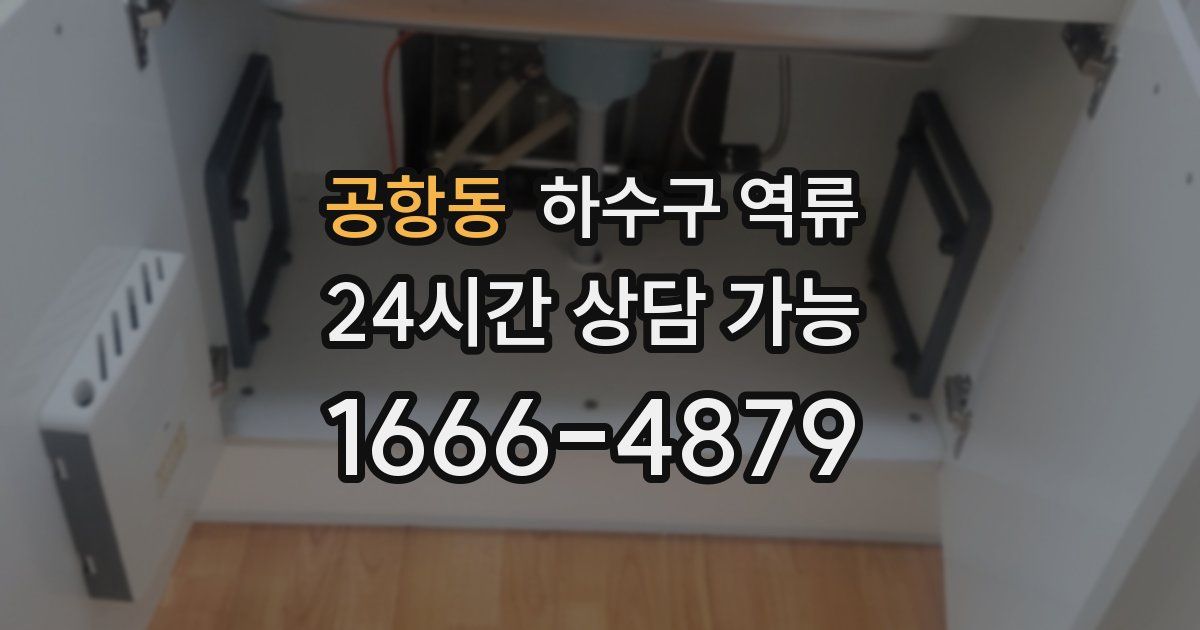 공항동 하수구 역류