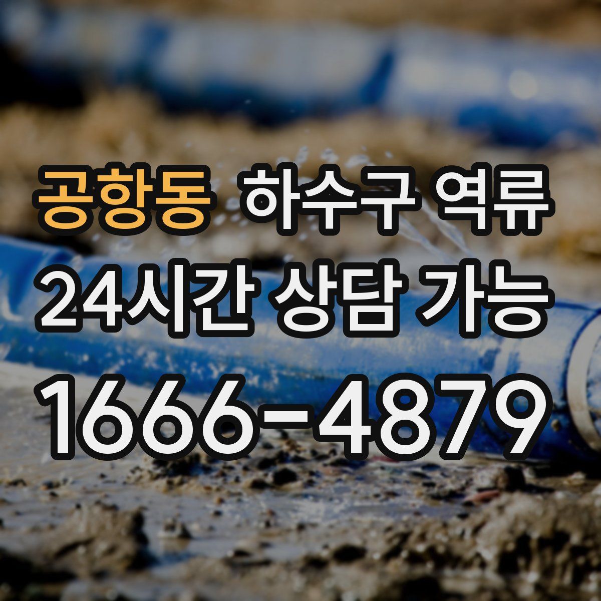 공항동 하수구 역류