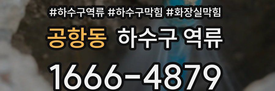 공항동 하수구 역류