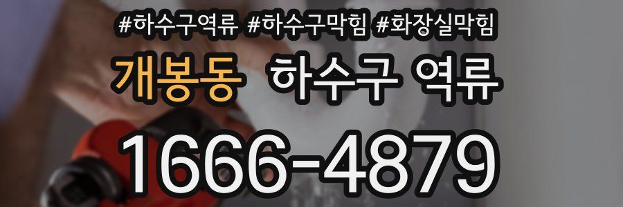 개봉동 하수구 역류