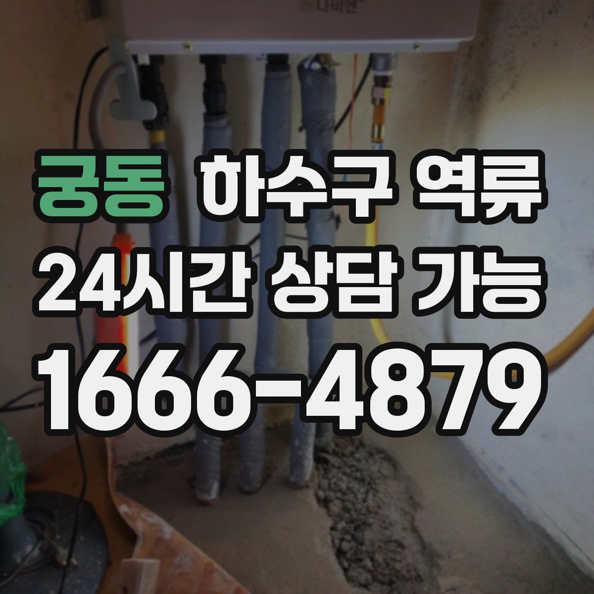 궁동 하수구 역류