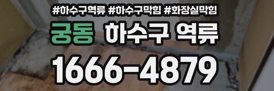 궁동 하수구 역류