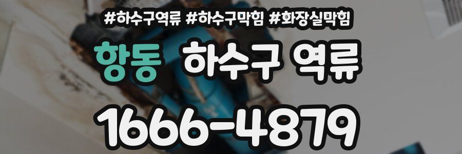 항동 하수구 역류