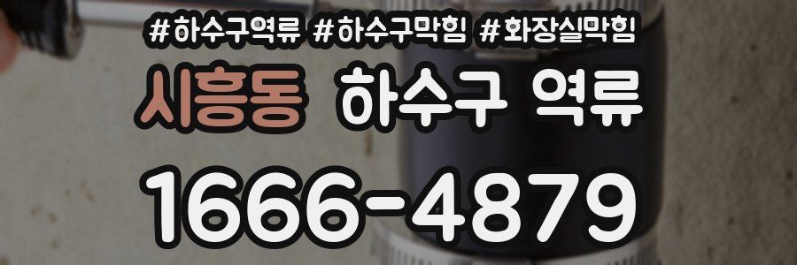 시흥동 하수구 역류