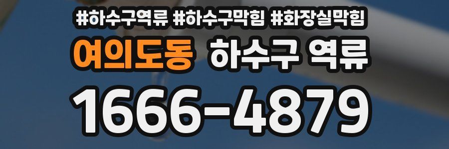 여의도동 하수구 역류