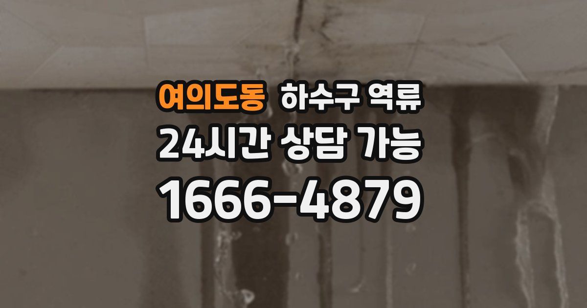 여의도동 하수구 역류