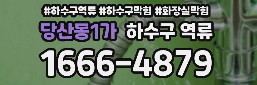 당산동1가 하수구 역류