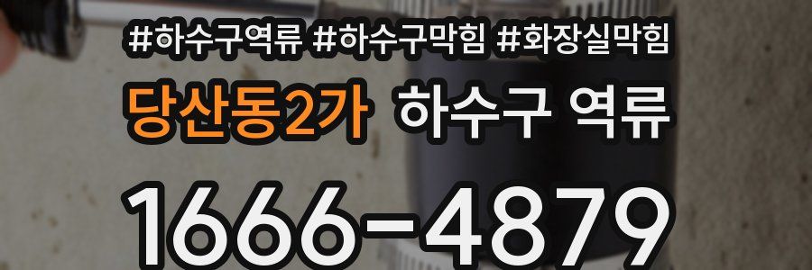 당산동2가 하수구 역류