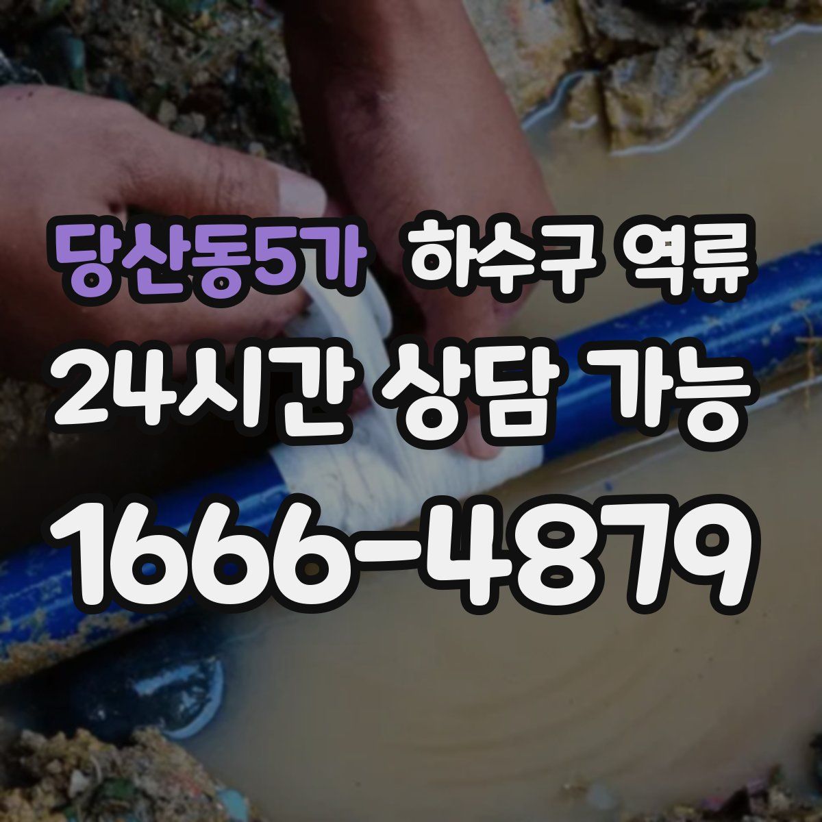당산동5가 하수구 역류
