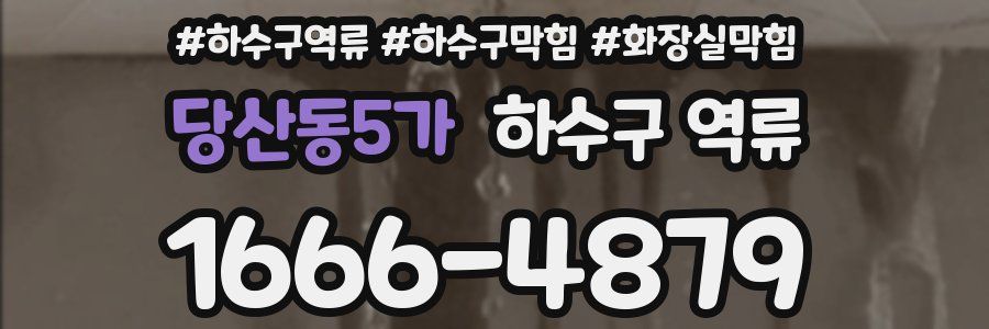 당산동5가 하수구 역류