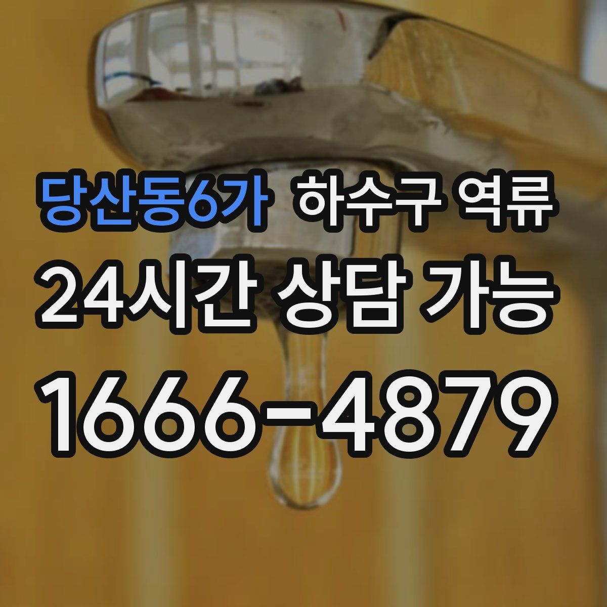 당산동6가 하수구 역류