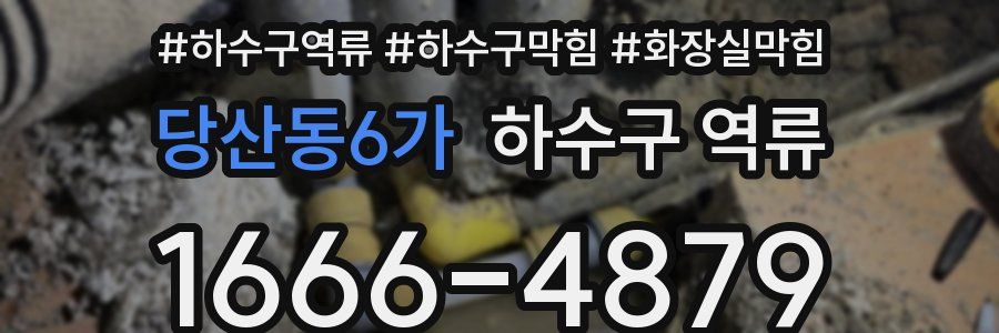 당산동6가 하수구 역류
