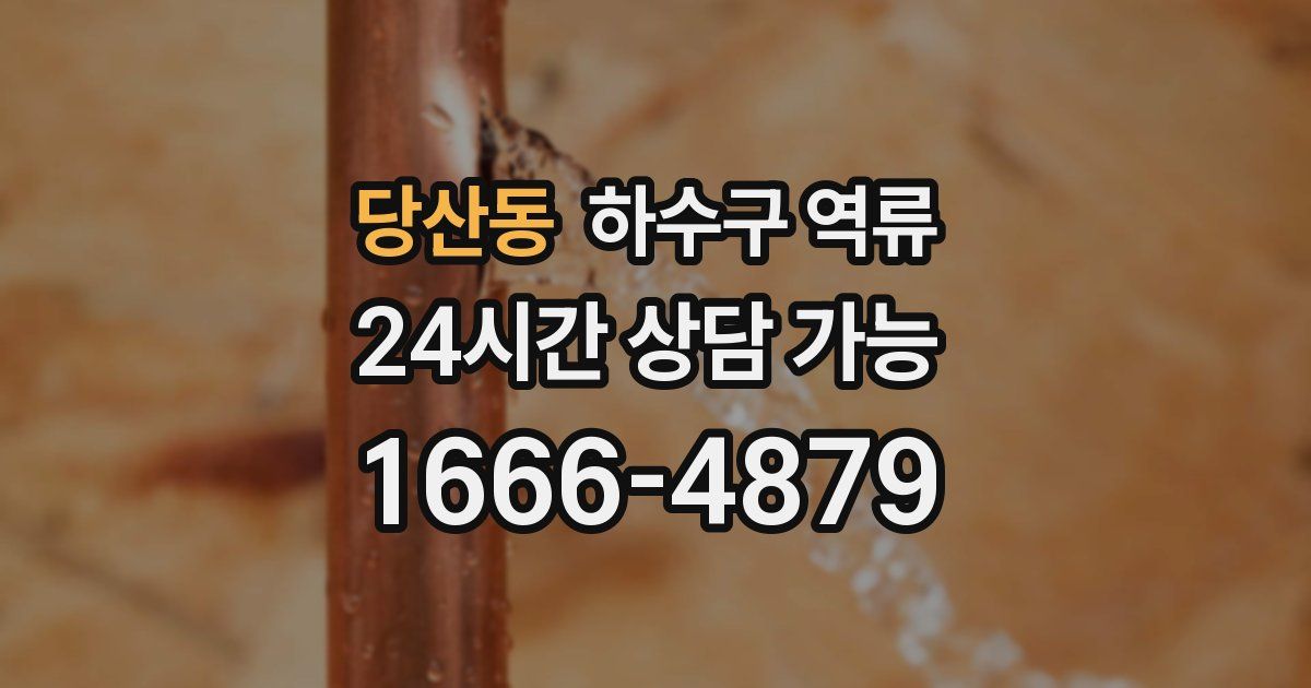 당산동 하수구 역류