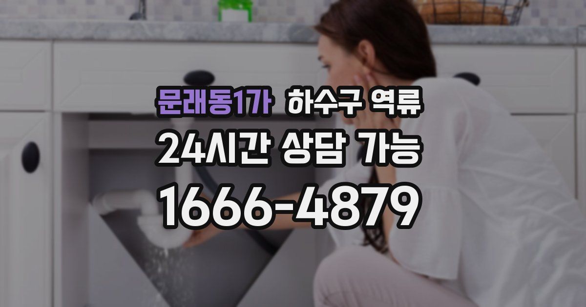문래동1가 하수구 역류