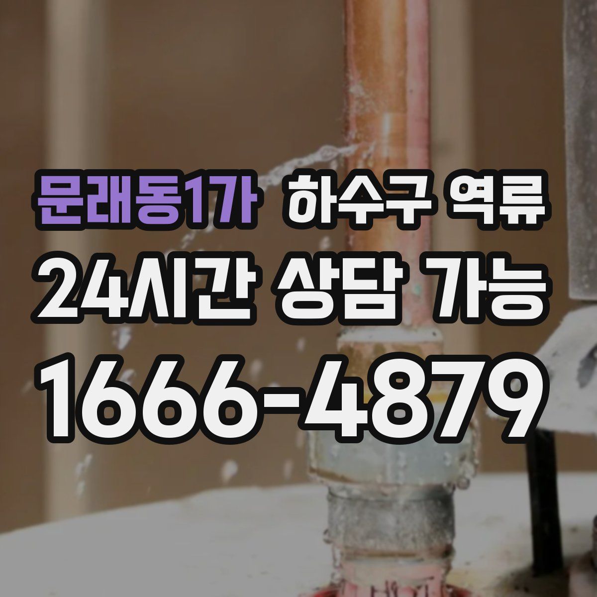 문래동1가 하수구 역류