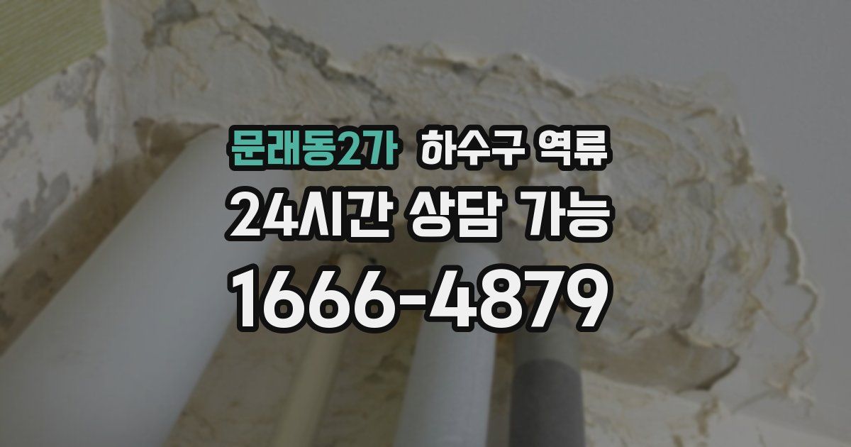 문래동2가 하수구 역류