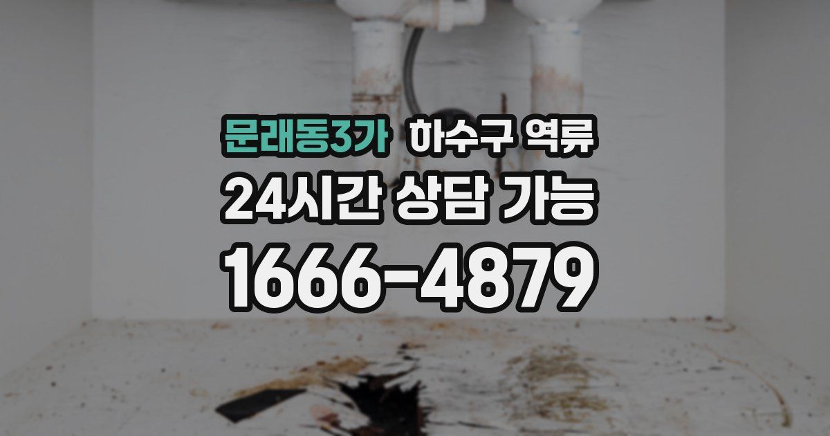 문래동3가 하수구 역류