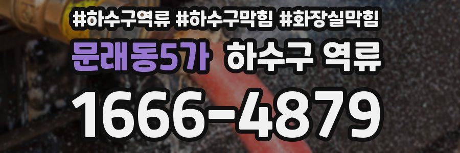 문래동5가 하수구 역류