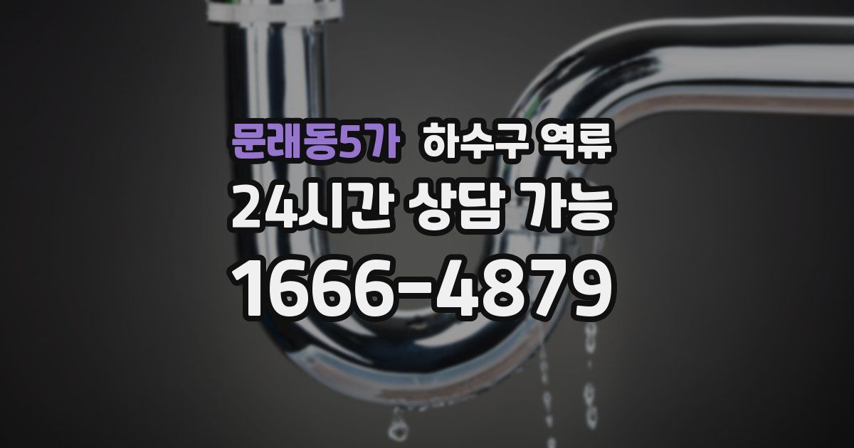 문래동5가 하수구 역류