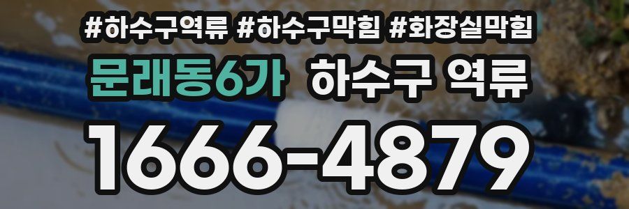 문래동6가 하수구 역류
