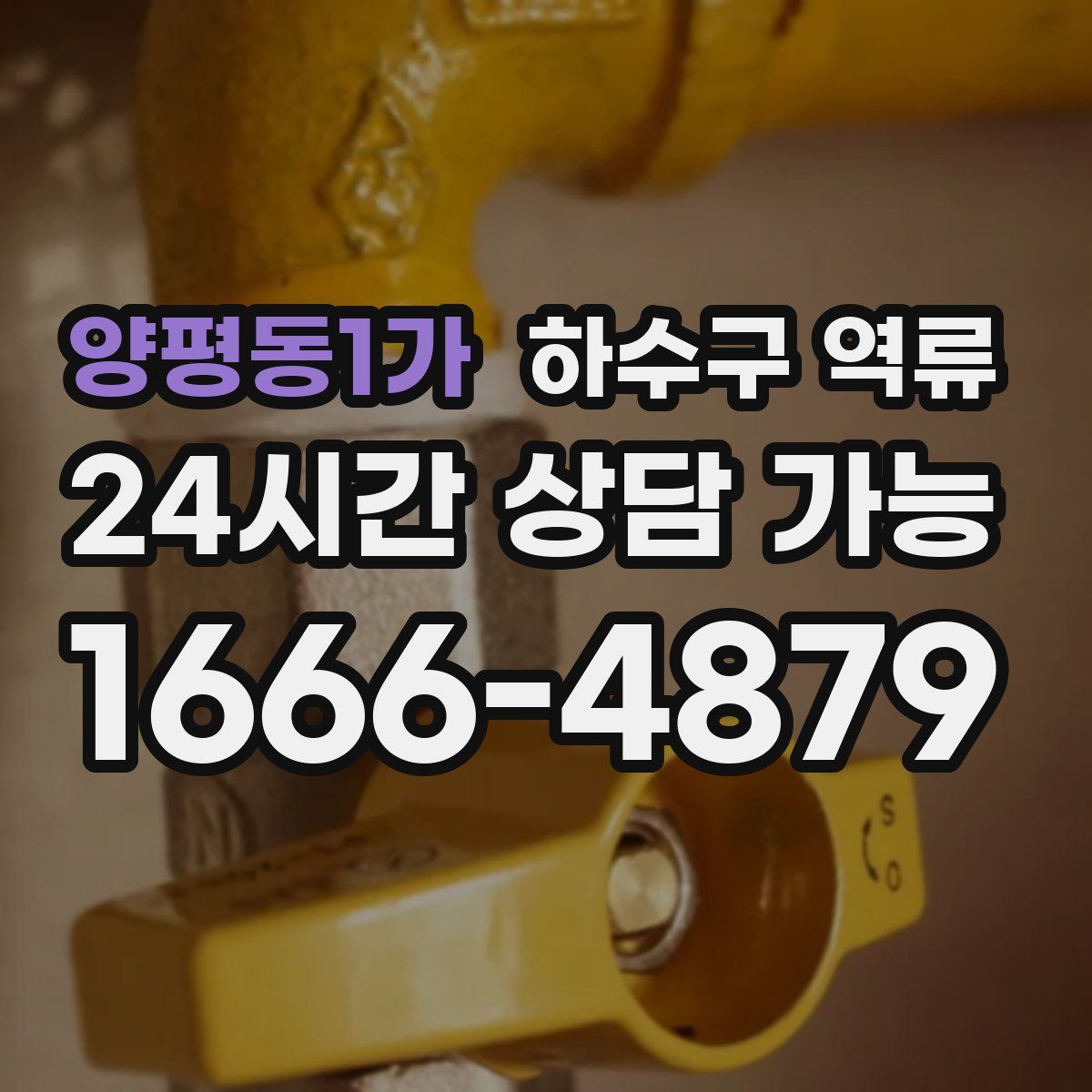 양평동1가 하수구 역류