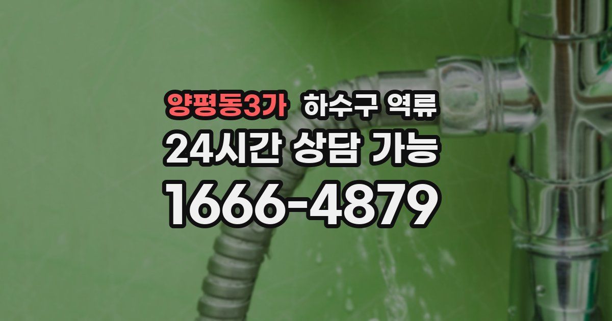 양평동3가 하수구 역류