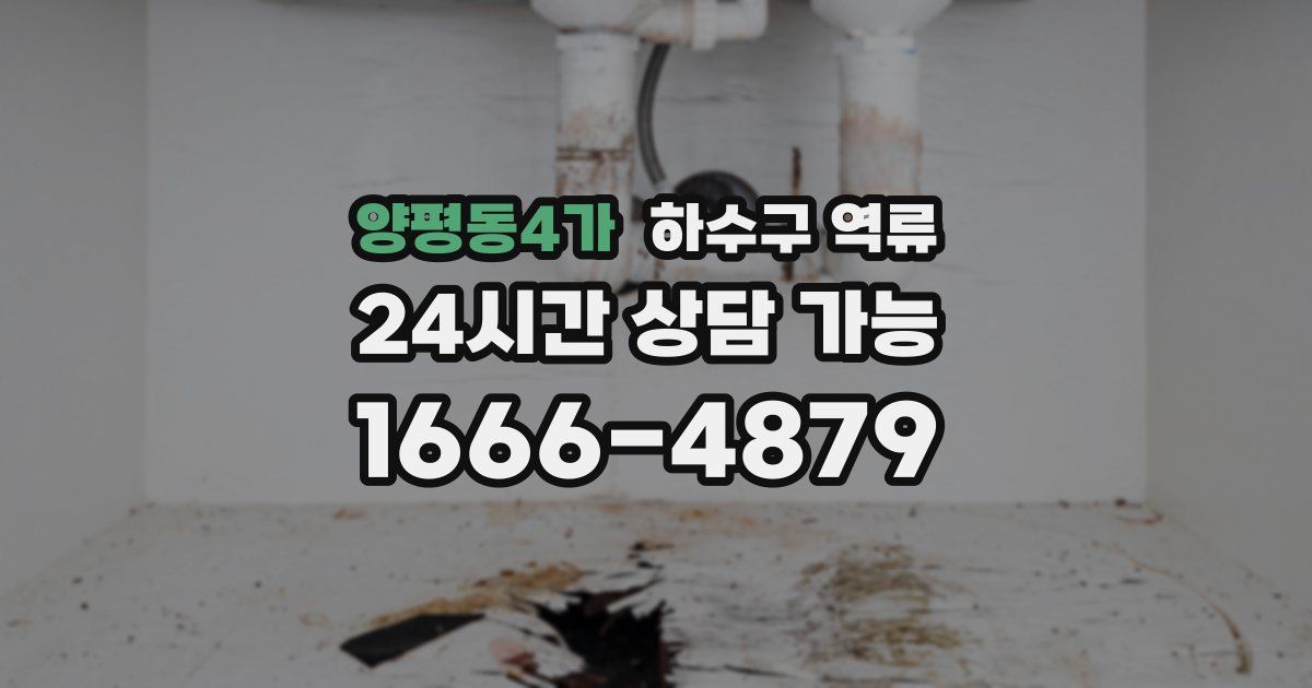 양평동4가 하수구 역류