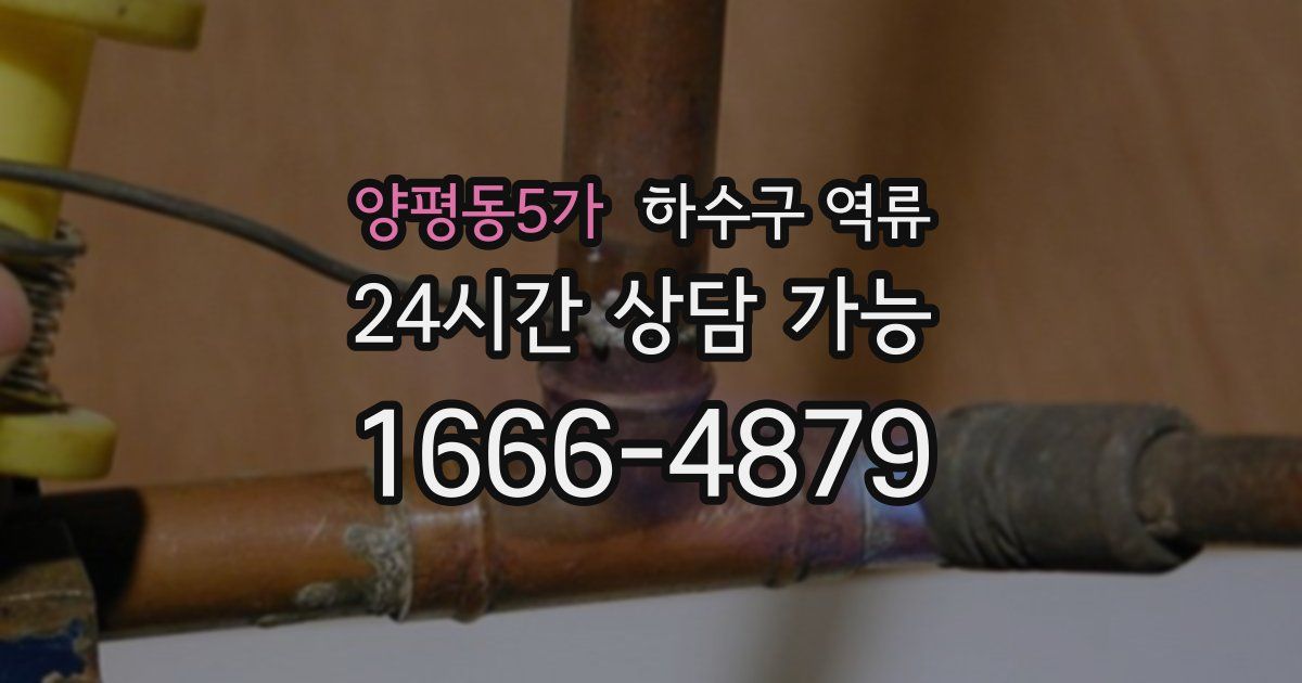 양평동5가 하수구 역류