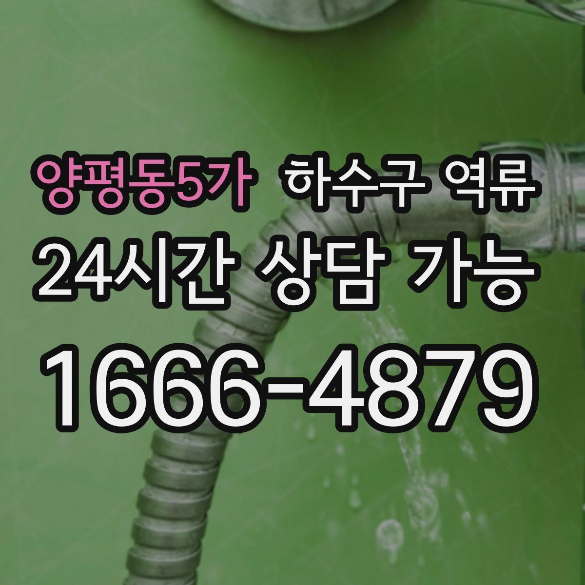 양평동5가 하수구 역류