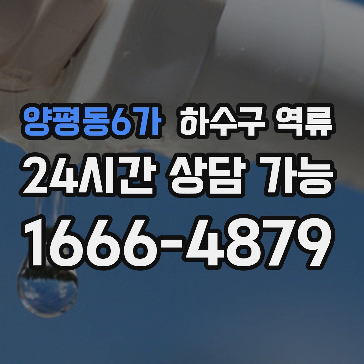 양평동6가 하수구 역류