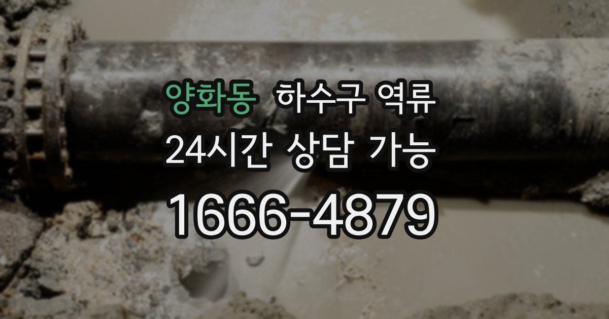 양화동 하수구 역류