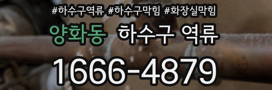 양화동 하수구 역류