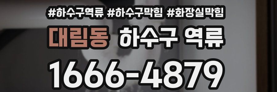 대림동 하수구 역류