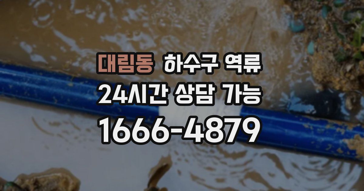 대림동 하수구 역류